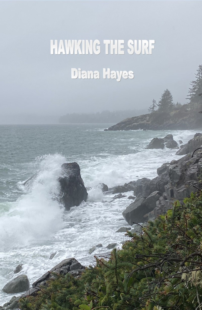 Hawking the Surf by Diana Hayes